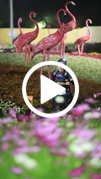 BIB:  <button type="button" onclick="openModal(27589949)" class="btn btn-primary btn-sm float-right" data-toggle="modal" data-target=".modal-high-quality">
                <i class="fa fa-download"></i> Download
                </button>